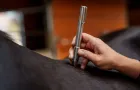 Hand hält Lasertherapiegerät auf schwarzem Fell eines Tieres