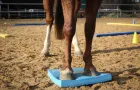 Vorderbeine eines Pferdes stehen auf einem blauen Therapiekissen im Sandplatz