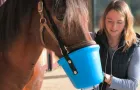 Braunes Pferd mit blauem Inhalationsgerät am Maul, gehalten von Person mit blonden Haaren und dunkler Weste