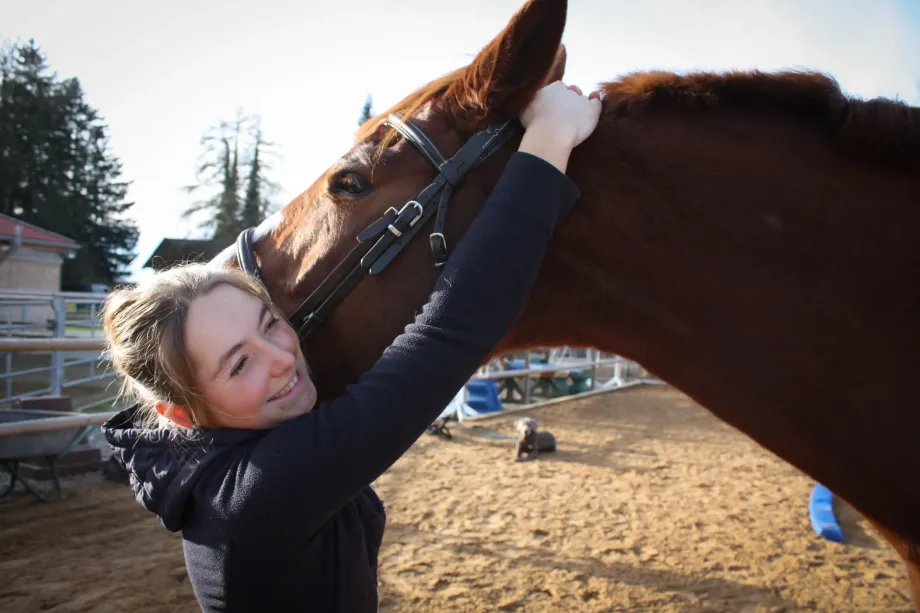 Person umarmt braunes Pferd am Kopf auf einem Reitplatz mit Sandboden