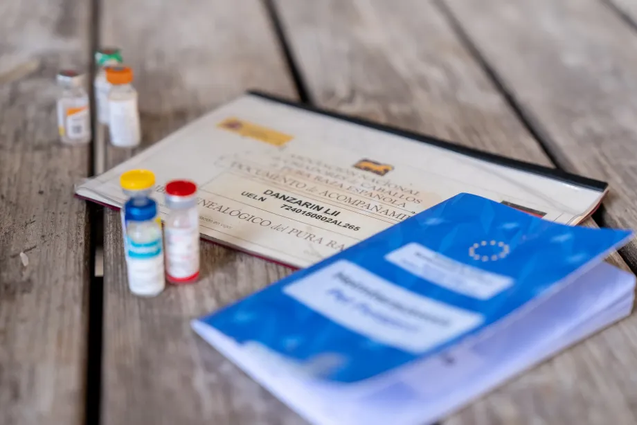 Mehrere medizinische Fläschchen und ein blauer Impfpass liegen auf einem Holztisch neben einem Dokument mit Patientendaten