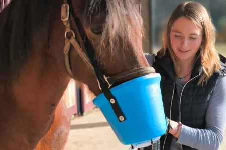 Braunes Pferd mit blauem Inhalationsgerät am Maul, gehalten von Person mit blonden Haaren und dunkler Weste